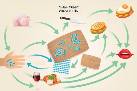 Ổ vi khuẩn trên tấm thớt, bạn có biết? - Ảnh 2. Ổ vi khuẩn trên tấm thớt, bạn có biết? - Ảnh 2.