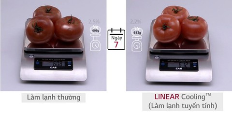 Những ưu điểm công nghệ Linear Inverter của tủ lạnh LG - Ảnh 2. Những ưu điểm công nghệ Linear Inverter của tủ lạnh LG - Ảnh 2.