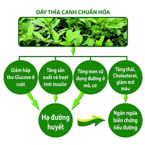 4 cách đơn giản giảm nguy cơ mù lòa ở bệnh nhân tiểu đường - Ảnh 2. 4 cách đơn giản giảm nguy cơ mù lòa ở bệnh nhân tiểu đường - Ảnh 2.