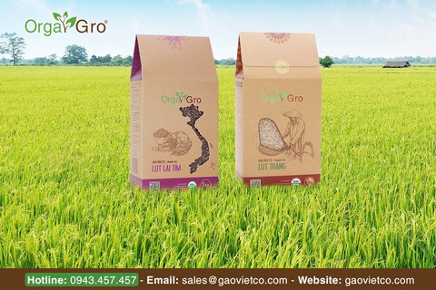 Chuyện về hạt gạo hữu cơ Orgagro - Ảnh 1. Chuyện về hạt gạo hữu cơ Orgagro - Ảnh 1.