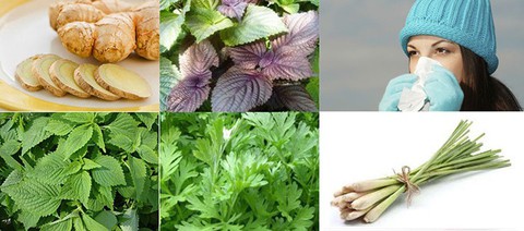 Trị bệnh mùa lạnh - Ảnh 1. Trị bệnh mùa lạnh - Ảnh 1.
