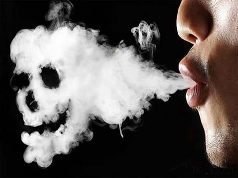 Hút thuốc lá làm giảm chức năng sinh sản - Ảnh 1. Hút thuốc lá làm giảm chức năng sinh sản - Ảnh 1.