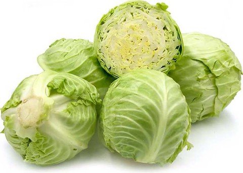 Bắp cải trong việc bổ dưỡng sức khỏe và chữa bệnh - Ảnh 1. Bắp cải trong việc bổ dưỡng sức khỏe và chữa bệnh - Ảnh 1.