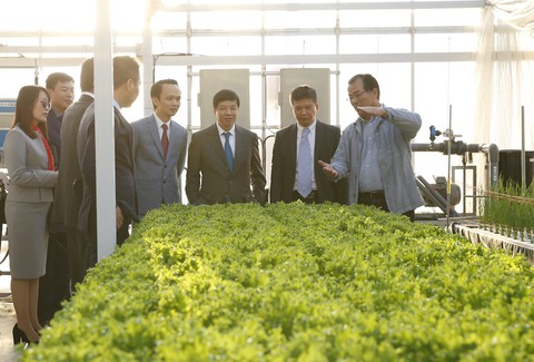 FLC bắt tay làm nông nghiệp cùng Farmdo - Ảnh 2. FLC bắt tay làm nông nghiệp cùng Farmdo - Ảnh 2.