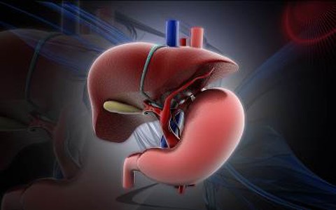 Hậu nghỉ lễ, mệt vì gan không khoẻ? - Ảnh 3. Hậu nghỉ lễ, mệt vì gan không khoẻ? - Ảnh 3.