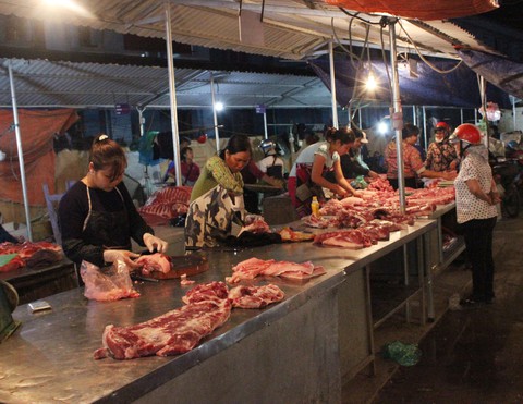Gỡ bỏ 12 thủ tục sản xuất, kinh doanh chăn nuôi, thuỷ sản - Ảnh 3. Gỡ bỏ 12 thủ tục sản xuất, kinh doanh chăn nuôi, thuỷ sản - Ảnh 3.