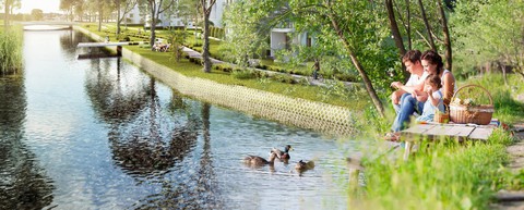 Villa Park - tiềm năng sinh lời nhờ lợi thế sinh thái sông - Ảnh 3. Villa Park - tiềm năng sinh lời nhờ lợi thế sinh thái sông - Ảnh 3.
