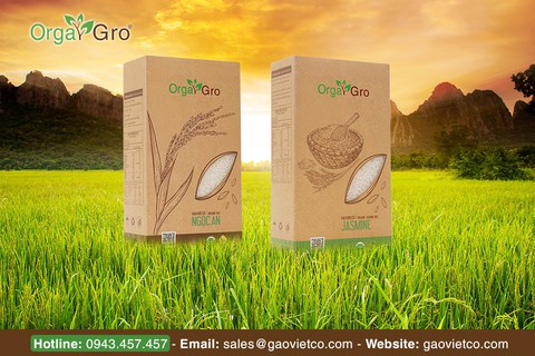 Chuyện về hạt gạo hữu cơ Orgagro - Ảnh 2. Chuyện về hạt gạo hữu cơ Orgagro - Ảnh 2.