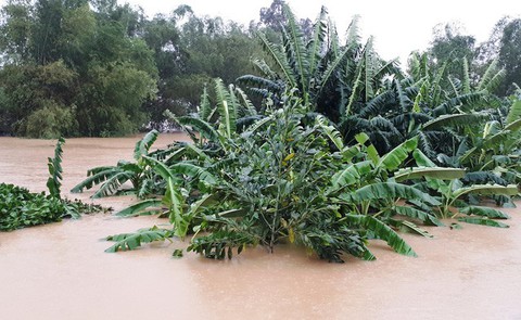 Nhiều khu vực miền Trung chìm trong nước lũ - Ảnh 15. Nhiều khu vực miền Trung chìm trong nước lũ - Ảnh 15.