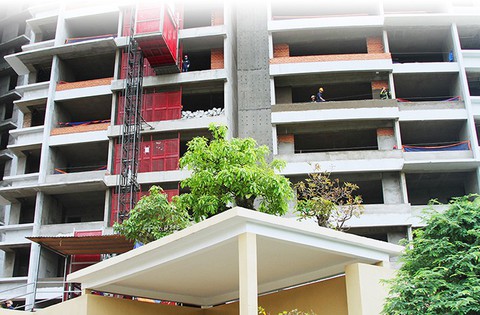 Cây cảnh trăm tuổi tại khu phức hợp Kenton Node Hotel Complex - Ảnh 8. Cây cảnh trăm tuổi tại khu phức hợp Kenton Node Hotel Complex - Ảnh 8.