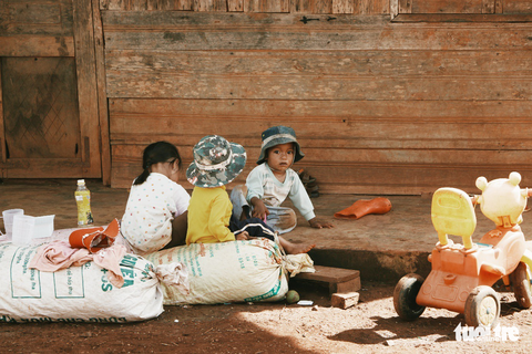 Hạnh phúc ngày mùa về trên cao nguyên Di Linh - Ảnh 10. Hạnh phúc ngày mùa về trên cao nguyên Di Linh - Ảnh 10.
