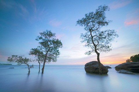 Ảnh Việt Nam đẹp nên thơ của Việt kiều Mỹ - Ảnh 10. Ảnh Việt Nam đẹp nên thơ của Việt kiều Mỹ - Ảnh 10.