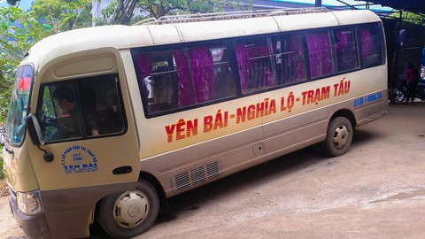 Tan nát rừng phòng hộ - Kỳ cuối: Đường đi của pơmu - Ảnh 3. Tan nát rừng phòng hộ - Kỳ cuối: Đường đi của pơmu - Ảnh 3.