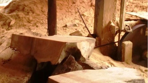 Tan nát rừng phòng hộ - Kỳ cuối: Đường đi của pơmu - Ảnh 6. Tan nát rừng phòng hộ - Kỳ cuối: Đường đi của pơmu - Ảnh 6.