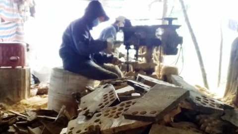 Tan nát rừng phòng hộ - Kỳ cuối: Đường đi của pơmu - Ảnh 7. Tan nát rừng phòng hộ - Kỳ cuối: Đường đi của pơmu - Ảnh 7.