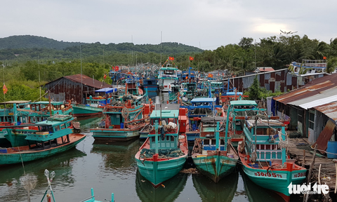 Tàu cá tránh bão Tembin ken đặc Phú Quốc - Ảnh 7. Tàu cá tránh bão Tembin ken đặc Phú Quốc - Ảnh 7.