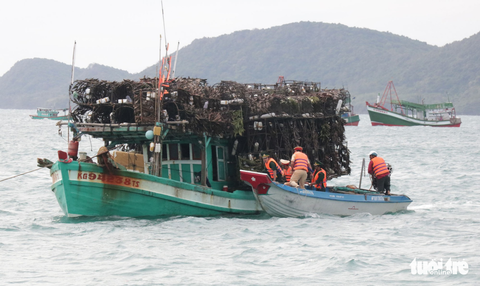 Tàu cá tránh bão Tembin ken đặc Phú Quốc - Ảnh 6. Tàu cá tránh bão Tembin ken đặc Phú Quốc - Ảnh 6.