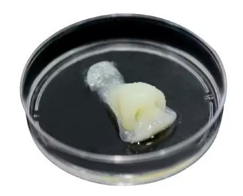 Trung Quốc phát triển thành công máy in 3D mô người - Ảnh 1. Trung Quốc phát triển thành công máy in 3D mô người - Ảnh 1.