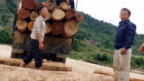 Tan nát rừng đầu nguồn - Kỳ 1: Tàn phá rừng phòng hộ - Ảnh 4. Tan nát rừng đầu nguồn - Kỳ 1: Tàn phá rừng phòng hộ - Ảnh 4.