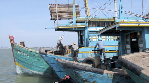 Nếu EU rút thẻ vàng, hải sản sẽ mất các thị trường lớn - Ảnh 1. Nếu EU rút thẻ vàng, hải sản sẽ mất các thị trường lớn - Ảnh 1.