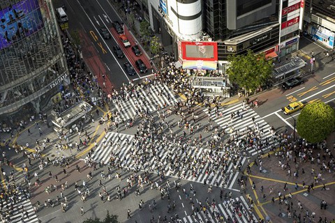 Shinjuku, Shibuya, Harajuku: những điểm không thể bỏ qua khi đến Tokyo - Ảnh 12. Shinjuku, Shibuya, Harajuku: những điểm không thể bỏ qua khi đến Tokyo - Ảnh 12.