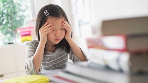 Nền giáo dục Singapore có thực sự hoàn hảo? - Ảnh 1. Nền giáo dục Singapore có thực sự hoàn hảo? - Ảnh 1.