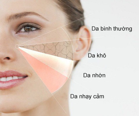 Từng loại da mặt đều có bí kíp làm cho tươi tắn, rạng rỡ - Ảnh 1. Từng loại da mặt đều có bí kíp làm cho tươi tắn, rạng rỡ - Ảnh 1.