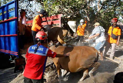 Bali hồi hộp chờ núi lửa phun trào - Ảnh 10. Bali hồi hộp chờ núi lửa phun trào - Ảnh 10.