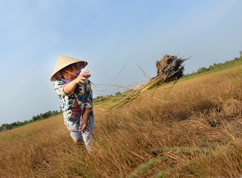 Tử huyệt nguồn nước sông Mekong - Ảnh 3. Tử huyệt nguồn nước sông Mekong - Ảnh 3.