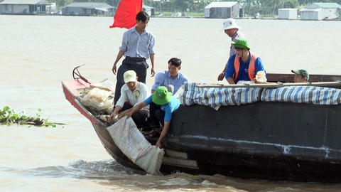 Đồng Tháp thả hơn 1 triệu con cá ra tự nhiên - Ảnh 1. Đồng Tháp thả hơn 1 triệu con cá ra tự nhiên - Ảnh 1.