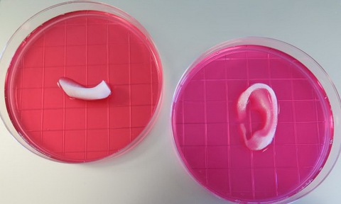 In 3D đang tạo ra phép màu trong y học - Ảnh 9. In 3D đang tạo ra phép màu trong y học - Ảnh 9.