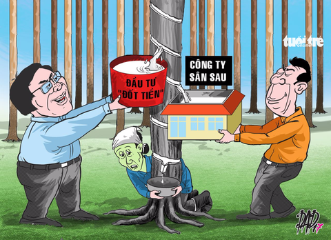 Tập đoàn Cao su VN làm ăn kiểu... đốt tiền - Ảnh 1. Tập đoàn Cao su VN làm ăn kiểu... đốt tiền - Ảnh 1.