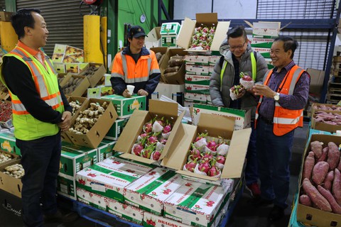 Việt kiều Úc tin bán được thanh long Việt - Ảnh 1. Việt kiều Úc tin bán được thanh long Việt - Ảnh 1.
