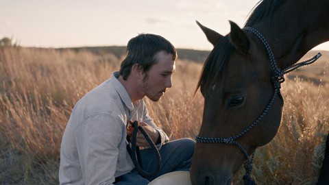 Call me by your name nhận 6 đề cử Tinh thần độc lập - Ảnh 8. Call me by your name nhận 6 đề cử Tinh thần độc lập - Ảnh 8.