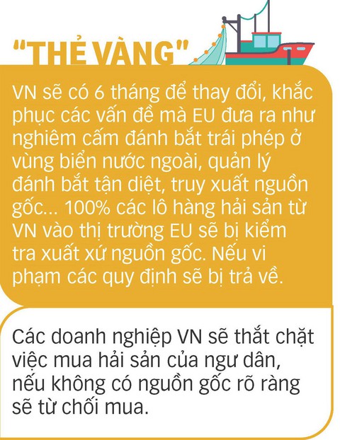 Ngư dân bỏ tiền mua biển và án phạt thẻ vàng từ EU - Ảnh 2. Ngư dân bỏ tiền mua biển và án phạt thẻ vàng từ EU - Ảnh 2.