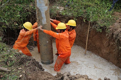 Huy động gần 1.200 người khôi phục điện sau bão số 12 - Ảnh 1. Huy động gần 1.200 người khôi phục điện sau bão số 12 - Ảnh 1.