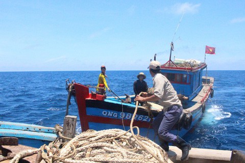 Triển khai nhiều hoạt động để EU sớm rút thẻ vàng - Ảnh 1. Triển khai nhiều hoạt động để EU sớm rút thẻ vàng - Ảnh 1.