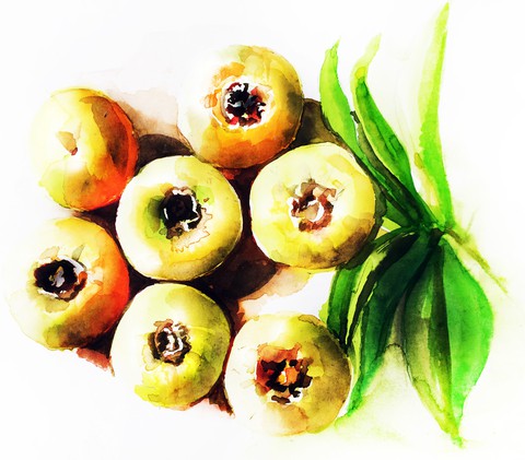 Thị ơi thị rơi lòng mình - Ảnh 2. Thị ơi thị rơi lòng mình - Ảnh 2.