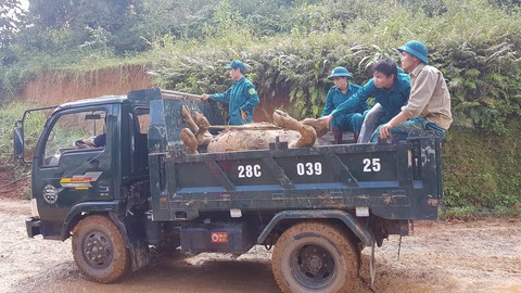 Tìm được 9 thi thể trong số 18 người bị vùi lấp tại Hòa Bình - Ảnh 20. Tìm được 9 thi thể trong số 18 người bị vùi lấp tại Hòa Bình - Ảnh 20.