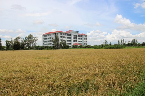 Khủng hoảng trường học tại Hàn Quốc: Tình trạng bỏ hoang và tương lai u ám