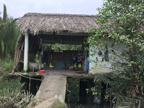 Phận nước nổi bèo nổi bên nhánh kênh buồn ven rạch Bà Bướm - Ảnh 8. Phận nước nổi bèo nổi bên nhánh kênh buồn ven rạch Bà Bướm - Ảnh 8.