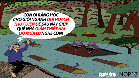 Phá rừng làm thủy điện, hồ chứa nước... gây thiệt hại lớn - Ảnh 1. Phá rừng làm thủy điện, hồ chứa nước... gây thiệt hại lớn - Ảnh 1.