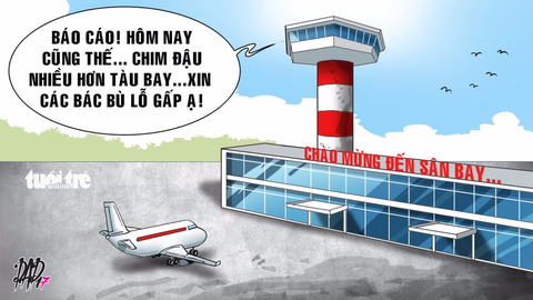 Nghịch lý... bù lỗ hàng không - Ảnh 1. Nghịch lý... bù lỗ hàng không - Ảnh 1.