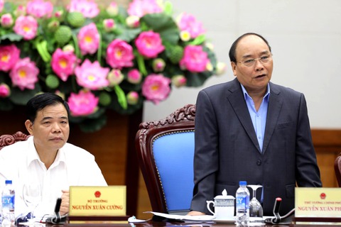 Thủ tướng: những công trình thủy điện nhỏ nhưng phá rừng rất lớn - Ảnh 1. Thủ tướng: những công trình thủy điện nhỏ nhưng phá rừng rất lớn - Ảnh 1.