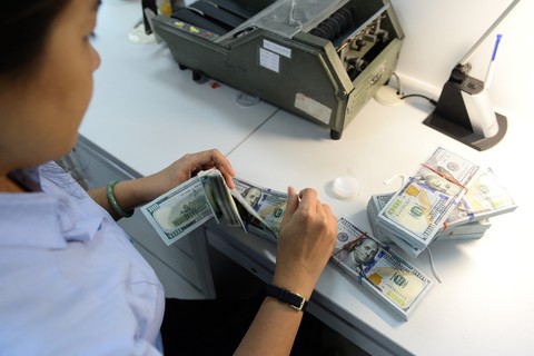 Cung dồi dào, cuối năm giá USD càng rẻ - Ảnh 1. Cung dồi dào, cuối năm giá USD càng rẻ - Ảnh 1.