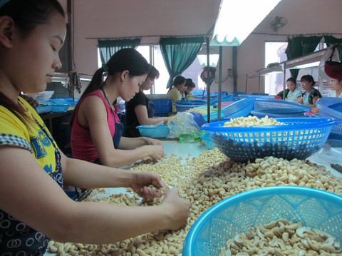 Chủ tịch FPT làm Trưởng ban Nghiên cứu Phát triển kinh tế tư nhân - Ảnh 1. Chủ tịch FPT làm Trưởng ban Nghiên cứu Phát triển kinh tế tư nhân - Ảnh 1.