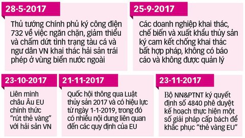 Ngư dân bỏ tiền mua biển và án phạt thẻ vàng từ EU - Ảnh 5. Ngư dân bỏ tiền mua biển và án phạt thẻ vàng từ EU - Ảnh 5.