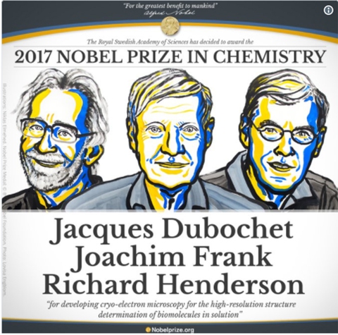 Công trình đoạt Nobel Hóa học giúp mục sở thị virus Zika - Ảnh 1. Công trình đoạt Nobel Hóa học giúp mục sở thị virus Zika - Ảnh 1.