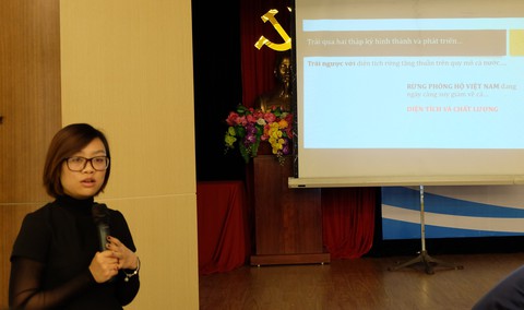 10 năm Việt Nam mất 1,7 triệu ha rừng phòng hộ - Ảnh 1. 10 năm Việt Nam mất 1,7 triệu ha rừng phòng hộ - Ảnh 1.