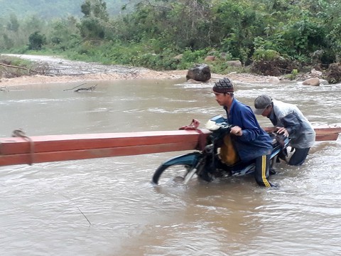 Ngang nhiên phá rừng phòng hộ bán gỗ làm bè nuôi tôm - Ảnh 3. Ngang nhiên phá rừng phòng hộ bán gỗ làm bè nuôi tôm - Ảnh 3.